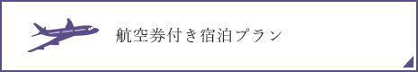 航空券付き宿泊プラン