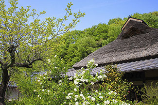 写真：ぎふ清流里山公園