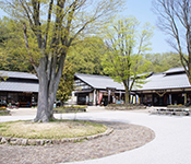 ぎふ清流里山公園
